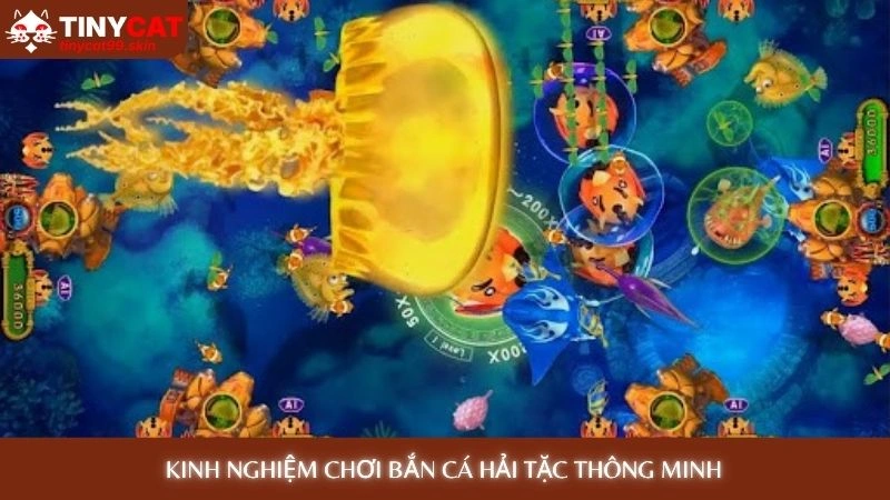 Kinh nghiệm chơi bắn cá hải tặc thông minh