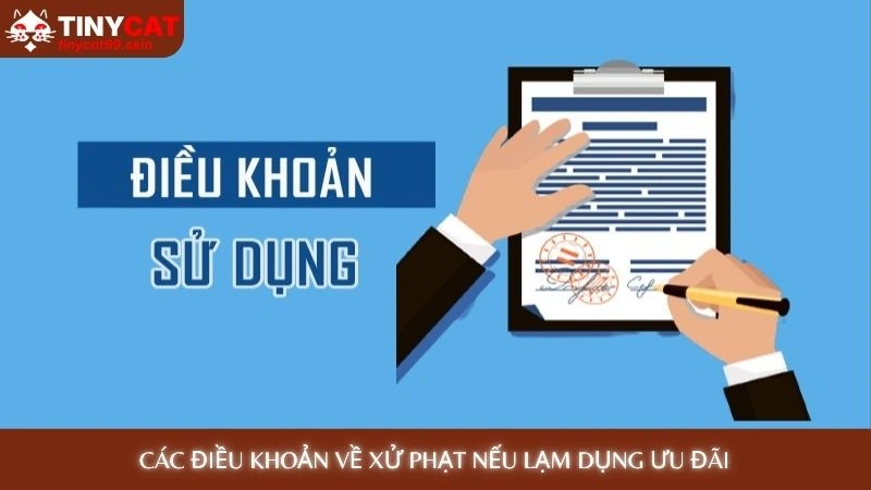 Các điều khoản về xử phạt nếu lạm dụng ưu đãi