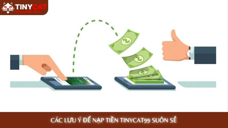 Các lưu ý để nạp tiền Tinycat99 suôn sẻ