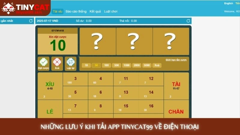 Những lưu ý khi Tải app Tinycat99 về điện thoại