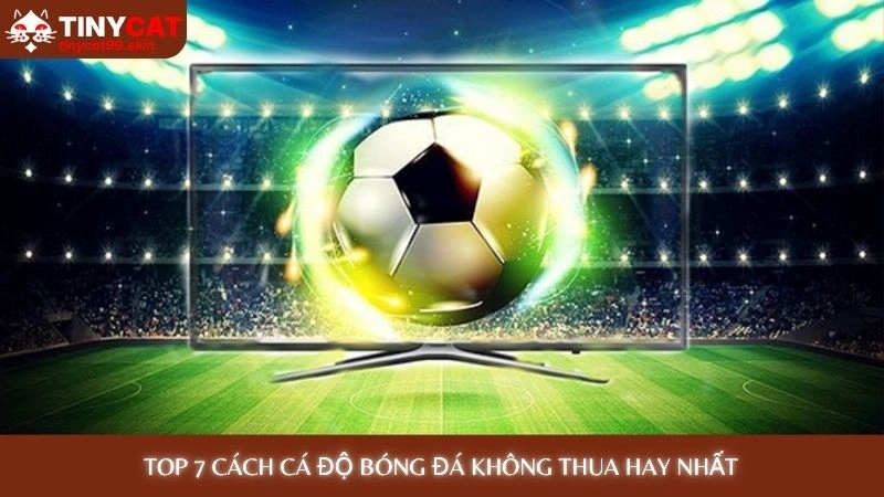 TOP 7 cách cá độ bóng đá không thua hay nhất