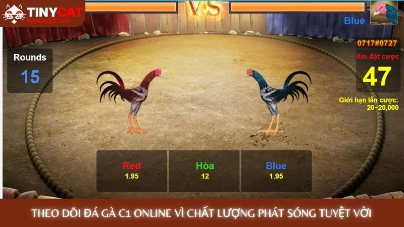 Theo dõi đá gà C1 online vì chất lượng phát sóng tuyệt vời