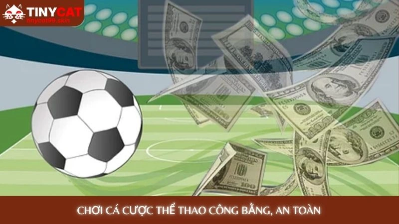 Chơi cá cược thể thao công bằng, an toàn