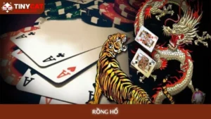 Rồng Hổ tinycat99