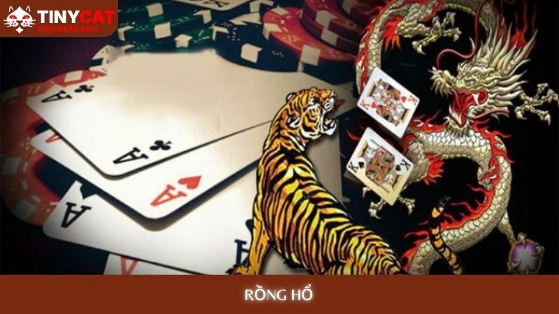 Rồng Hổ tinycat99