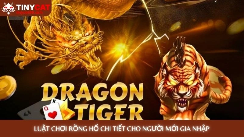Luật chơi rồng hổ chi tiết cho người mới gia nhập