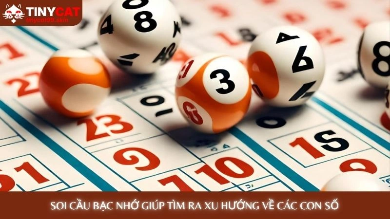 Soi cầu bạc nhớ giúp tìm ra xu hướng về các con số