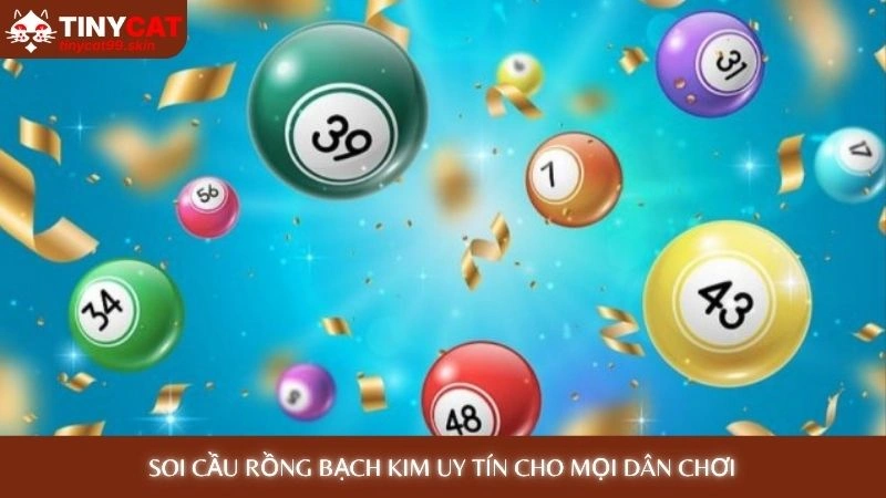 Soi cầu rồng bạch kim uy tín cho mọi dân chơi