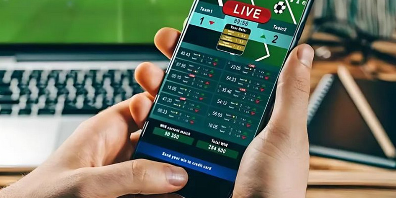Hãy theo dõi lịch đấu của các giải vô địch quốc gia